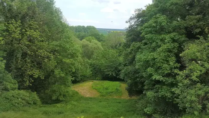 Strehla, Ausschnitt